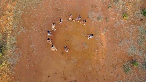 Desierto-De-Sabana-Bailarines-Africanos-Tradicionales-Realizando-Una-Celebración-Maestro-Paz