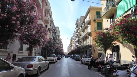 Walking-on-the-narrow-streets-of-Bari-surrounded-by-colorful-buildings-and-blooming-pink-trees,-Italy,-Europe