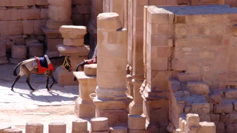 Un-Joven-Montado-En-Una-Mula-A-Través-De-Puertas-Con-Guardias-En-Las-Calles-De-La-Antigua-Ciudad-De-Petra-En-Jordania