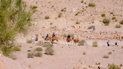 People,-locals-and-tourist,-walking-and-riding-camels-on-the-streets-in-the-ancient-city-of-Petra-in-Jordan