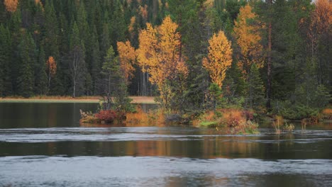 Tauchen-Sie-Ein-In-Die-Faszinierende-Schönheit-Eines-Lebendigen-Herbstwaldes,-Der-Die-Ufer-Eines-Schneebedeckten-Flusses-Schmückt