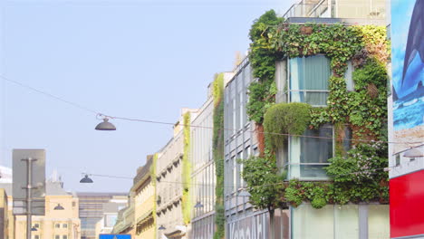 Lush-living-wall-on-corner-of-Stockholm-building,-street-view-passing-traffic