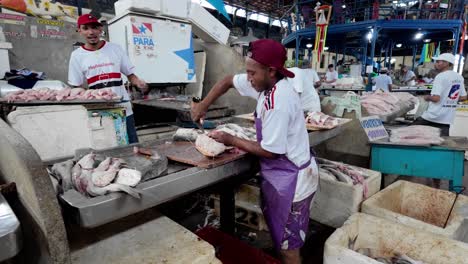 Brasilien,-Belem,-Der-Ver-o-Peso-Markt-Und-Umgebung:-Ein-Fischhändler-Putzt-An-Seinem-Stand-Fische,-Die-Traditionellen-Fertigkeiten-Und-Das-Lebhafte-Treiben-Auf-Dem-Markt