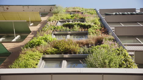 Upward-static-view-of-green-wall-vertical-garden-against-city-building