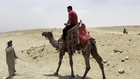 Tourists-are-moving-around-Egyptian-pyramids-on-camels