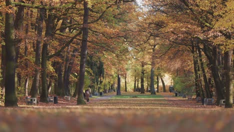 A-beautiful-autumn-alley-in-Hvezda-Park,-Prague