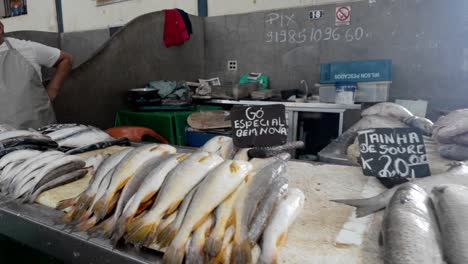 Brasilien,-Belem,-Der-Ver-o-Peso-Markt-Und-Umgebung:-Die-Stände-Mit-Fisch-Und-Meeresfrüchten-Auf-Dem-Ver-o-Peso-Markt,-Eine-Vielzahl-Frischer-Fänge-Und-Ein-Reger-Handel