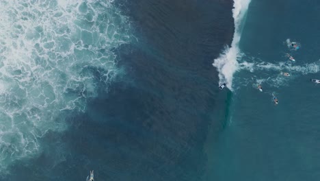 Top-Down-Slow-Motion-Drone-of-surfers-waiting-for-waves-at-low-tide-reef-with-deep-blue-water-at-Bingin-Beach,-Bali,-Uluwatu-Indonesia