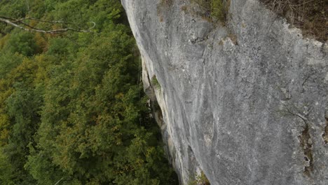 Alpine-Mont-Revard-mountain-side,-view-from-altitude,-dense-forest-in-France