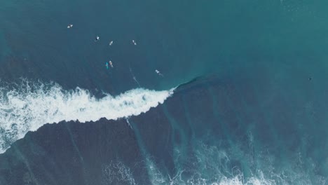 Top-Down-Slow-Motion-Drone-of-surfers-waiting-for-waves-at-low-tide-reef-with-turquoise-water-at-Bingin-Beach,-Bali,-Uluwatu-Indonesia