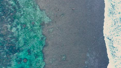 Top-Down-Drone-of-surfers-walking-across-low-tide-reef-with-beautiful-turquoise-water-at-Bingin-Beach,-Bali,-Uluwatu-Indonesia