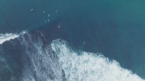 Top-Down-Slow-Motion-Drone-of-surfers-waiting-for-waves-at-low-tide-reef-with-turquoise-water-at-Bingin-Beach,-Bali,-Uluwatu-Indonesia