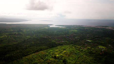 Terrassenförmige-Ackerfelder-Erzeugen-Ein-Geometrisches-Muster,-Das-Im-Kontrast-Zum-Natürlichen-Wald-In-Der-Nähe-Der-Küste-Von-Bali-Steht