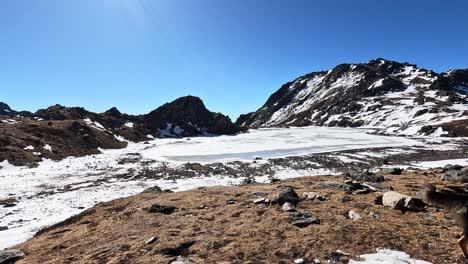 Wandern-Im-Hochgebirge-Des-Himalaya-Mit-Einem-Einheimischen-Schäferhund