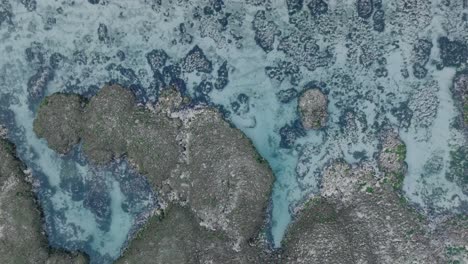 Drone-De-Arriba-Hacia-Abajo-De-La-Acción-De-Las-Olas-Durante-La-Marea-Baja-Sobre-Arrecifes-De-Coral-Y-Rocas-En-La-Playa-De-Nyang-Nyang,-Bali,-Uluwatu,-Indonesia