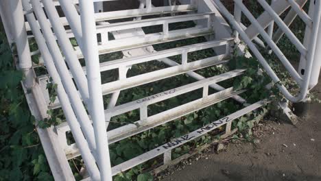 Rusty-white-metal-stairs-with-graffiti-and-ivy-overgrowth,-Zagreb,-Croatia