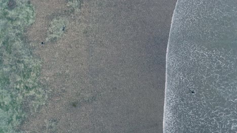 Drones-De-Arriba-Hacia-Abajo-De-Surfistas-Caminando-A-Través-De-Un-Arrecife-De-Marea-Baja-Con-Hermosas-Aguas-Turquesas-En-La-Playa-De-Bingin,-Bali,-Uluwatu,-Indonesia