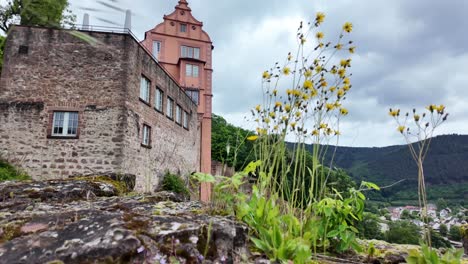 Hirschhorn-castle-at-river-Neckar-Germany-and-yellow-flowers