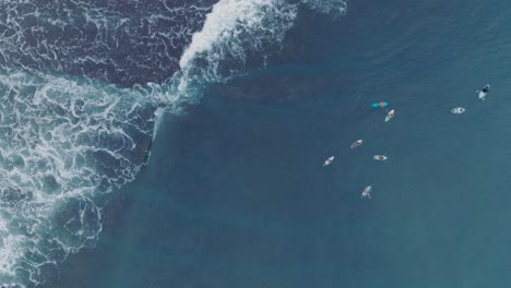 Top-Down-Slow-Motion-Drone-of-surfers-waiting-for-waves-at-low-tide-reef-with-deep-blue-water-at-Bingin-Beach,-Bali,-Uluwatu-Indonesia