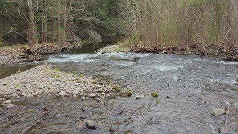 Forellenangeln-Im-Bach-In-Den-Wunderschönen-Catskill-Mountains-Im-Frühling