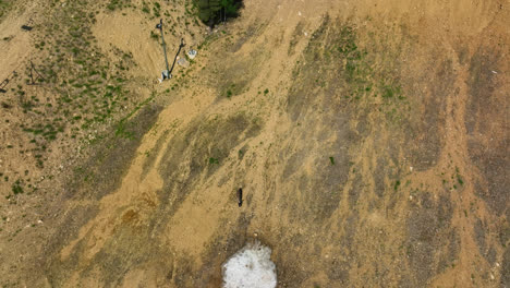 Top-down-drone-shot-of-a-Reindeer-walking-to-a-snowy-spot,-summer-day-in-Lapland