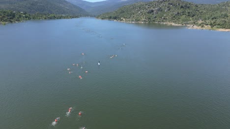 Impressive-drone-shot-of-an-endurance-swimming-competition-in-which-a-large-number-of-participants-swim,-many-of-them-with-colored-buoys