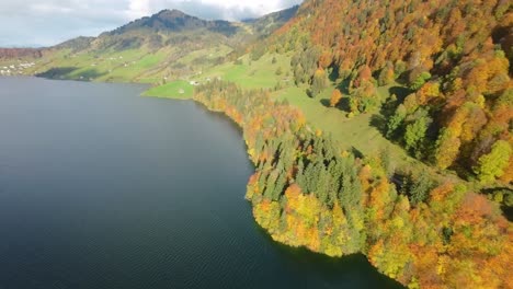 Drohnenflug-über-Den-Schweizer-See