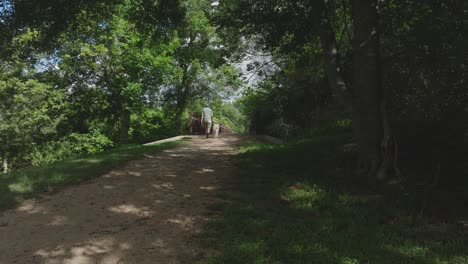 Un-Macho-Adulto-Paseando-A-Su-Perro-Por-La-Isla-Grande-De-Slough-En-El-Sendero-Para-Caminatas-Y-Bicicletas-Armand-Bayou-En-Pasadena,-Texas.