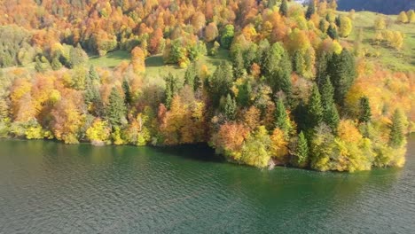 Drohnenflug-über-Den-Schweizer-See