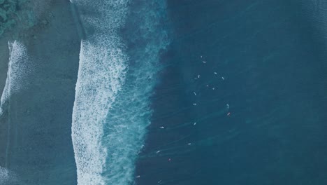 Top-Down-Drone-of-surfers-and-wave-action-at-low-tide-over-coral-and-rock-reef-at-sunset,-Bingin-Beach,-Bali,-Uluwatu-Indonesia