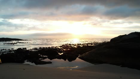 Drone-flys-over-kelp-at-sunrise