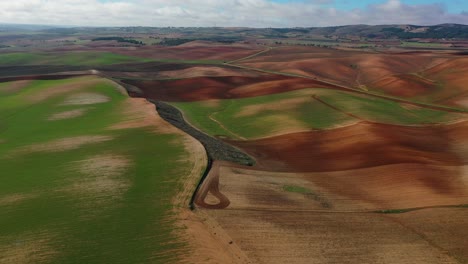 Vuelo-De-Espaldas-Sobre-Tierras-De-Cultivo-Donde-Apreciamos-Una-Espectacular-Mezcla-De-Colores-Separados-Por-Parcelas-Agrícolas:-Hay-Tonos-Verdes,-Marrones,-Blancos-Y-Rojos,-Una-Maravilla-Visual-En-La-Provincia-De-Cuenca.