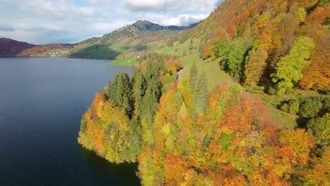 Drone-Aerial-Flight-Over-Switzerland-Lake