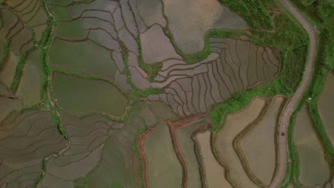 Aerial-of-Sapa's-intricate-terraced-rice-paddies-filled-with-water,-creating-unique-patterns-across-the-landscape