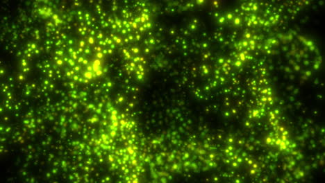 Passing-Through-Green-Abstract-Floating-Fluid-Particles-with-Black-Background---Quantum-Concept-Visualisation