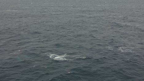 Vista-Lateral-Aérea-De-Las-Ballenas-Jorobadas-Soplando-El-Chorro-De-Agua-Respirando-Sobre-La-Superficie-Del-Océano-En-Un-Día-Nublado-En-El-Océano-Pacífico