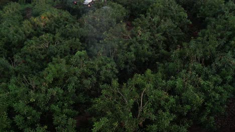 Agri-Drone-spraying-trees-on-a-hillside