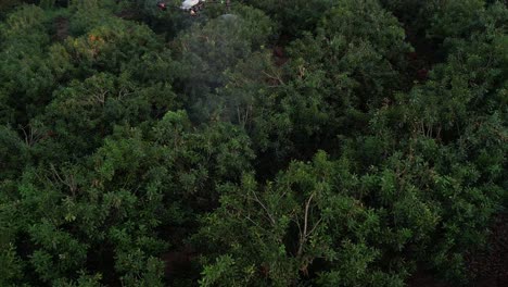 Drone-Agrícola-Rociando-árboles-En-Una-Ladera