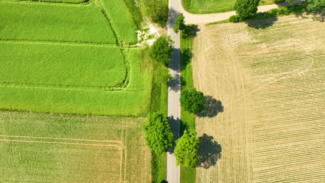 Aerial-view-of-a-white-car-driving-on-a-rural-road-intersecting-green-fields-and-farmlands