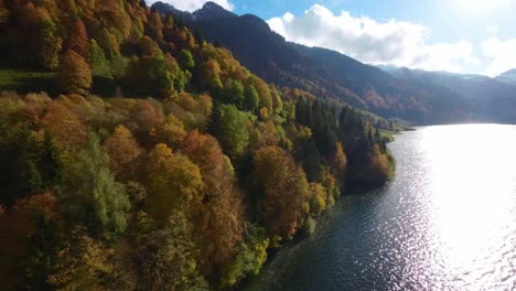 Drohnenflug-über-Den-Schweizer-See