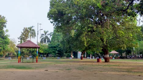 Steady-shot-of-a-tree-and-a-covered-bench-in-a-garden