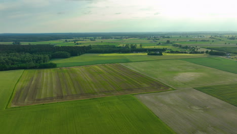 Aerial-view-of-vast-green-farmlands-with-patches-of-plowed-fields-under-a-partly-cloudy-sky