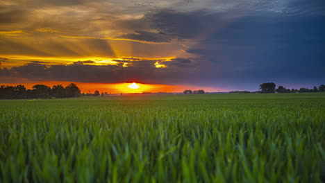 Colorful-sunrise,-low-angle-shot-meadow-panorama,-vast-rural-farmland-in-Latvia