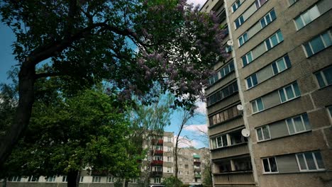 Footage-of-trees-and-layered-residential-apartment-flat-buildings-under-a-blue-sky-with-clouds