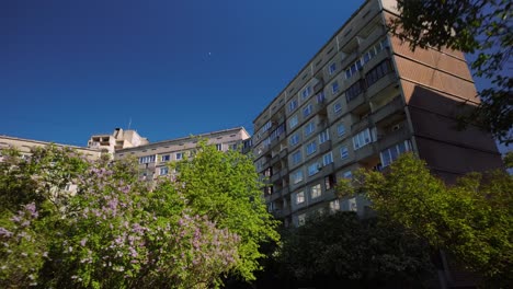 Footage-captures-the-stark,-utilitarian-design-of-communistic-style-flat-blocks-set-against-lush-green-trees-in-Latvia