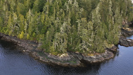 Vancouver-Island's-Port-Hardy:-Pristine-Coastal-Views