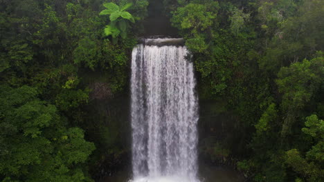 Aerial-View-of-Millaa-Millaa-Falls-and-Green-Rainforest,-Queensland,-Australia