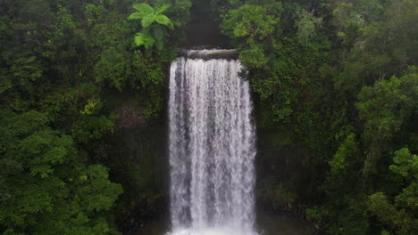 Vista-Aérea-De-Milla-Milla-Falls-Y-Green-Rainforest,-Queensland,-Australia