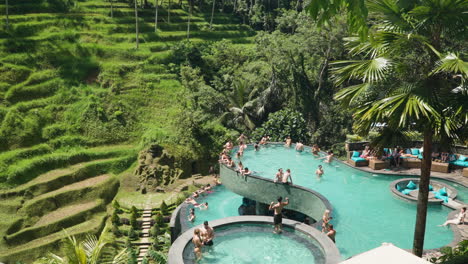 People-At-The-Azure-Blue-Pools-With-Scenic-View-Of-Green-Rice-Terrace-In-Cretya-Ubud-Alas-Harum,-Bali,-Indonesia---Panning-Shot
