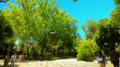 Gente-Disfrutando-De-Un-Paseo-En-Un-Parque-Sombreado-Con-árboles-Altos-Y-Exuberante-Vegetación-En-Ronda,-España